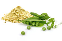 ORGANIC PEA PROTEIN